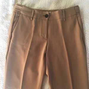 Ann Taylor LOFT Kate trouser pant size 6